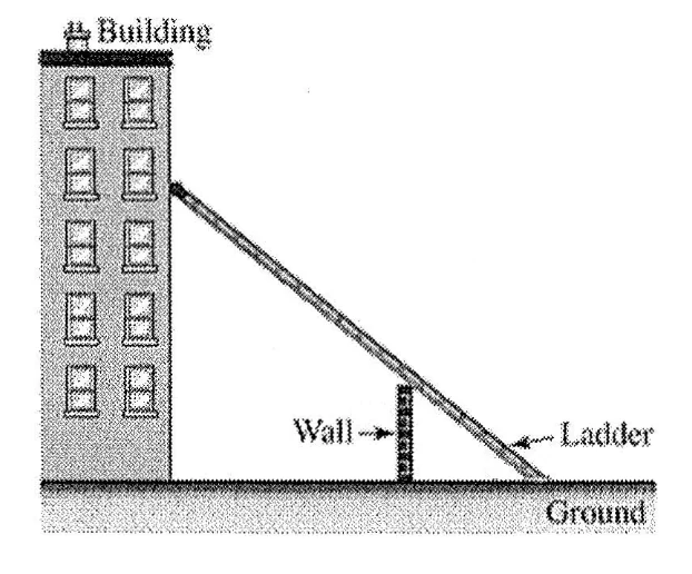 Figure for the question