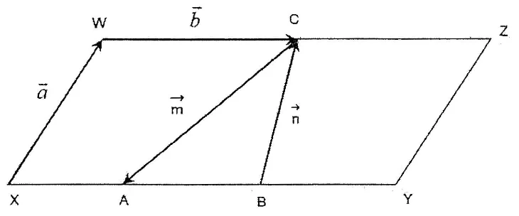 Figure for the question
